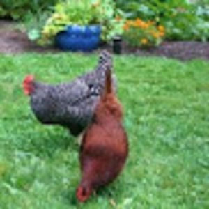 Meet your Posher, Jennifer